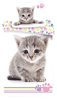 Kinder Bettwäsche Wendemotiv graues Kätzchen Cat bunte Tatzen Bettdecke 140 x 200 + Kopfkissen 70 x 90 cm, 100% Baumwolle mit Reißverschluss