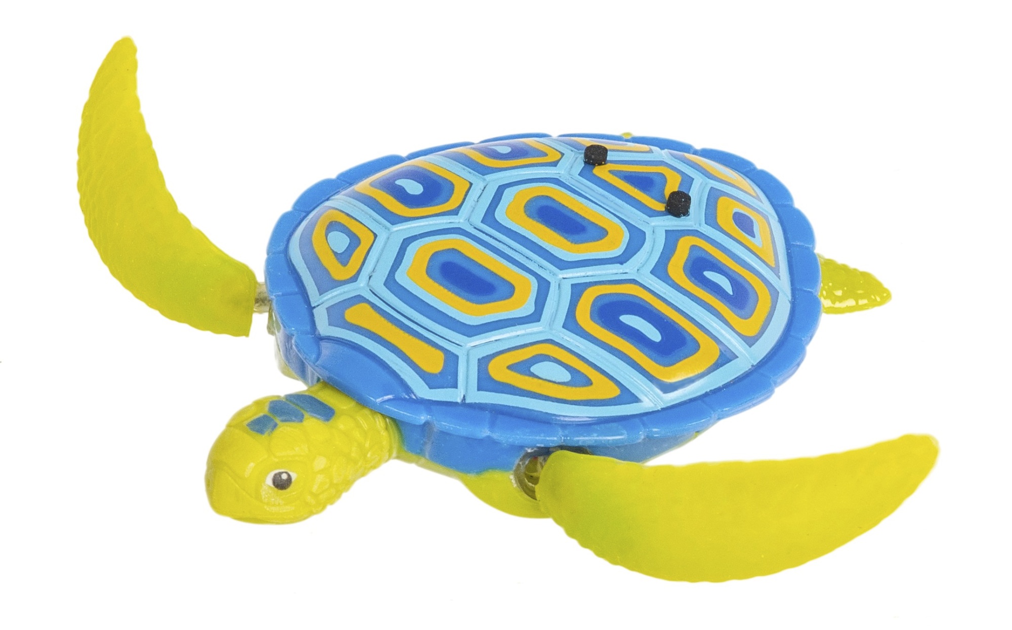 robot turtle toy
