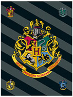 Wizarding World Harry Potter Fleecedecke Hogwarts Wappen Rabe Schlange Löwe Dachs Magie Zauberei Internat Schüler Zauberer Hexerei 100 x 150 cm 100% Polyester